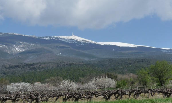 Le Mont Ventoux