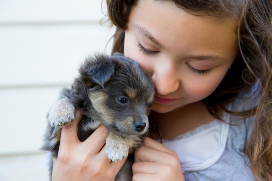 Amour d'un animal
